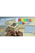 3D Ahşap Puzzle - Horoz  