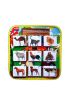  247  ( Evcil Hayvanlar ) Parça-Bütün Eşleşmeler Keçe Cırtlı Aktivite Sayfası - Çocuk Etkinlik, Eğitici