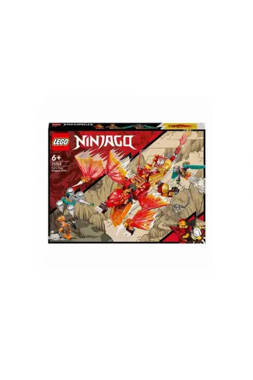  193  Ninjago Kai Ateş Ejderhası