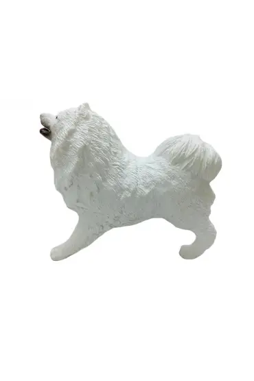  505 Köpekler - Samoyed Cinsi Köpek