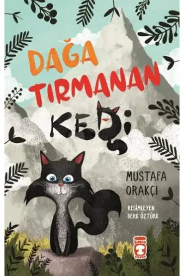  404 Dağa Tırmanan Kedi