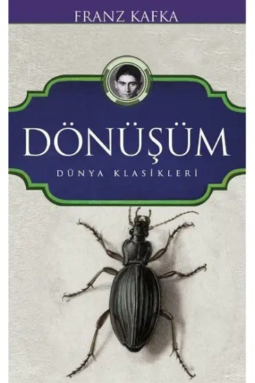  404 Dönüşüm