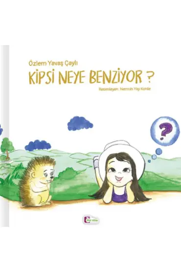  404 Kipsi Neye Benziyor?