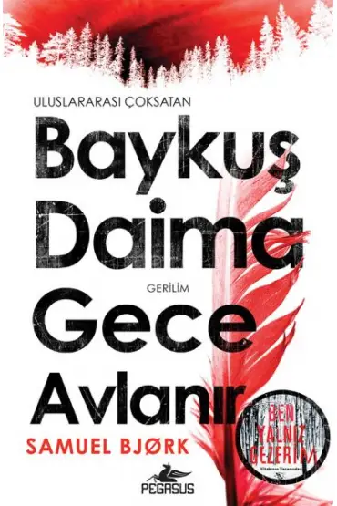  404 Baykuş Daima Gece Avlanır