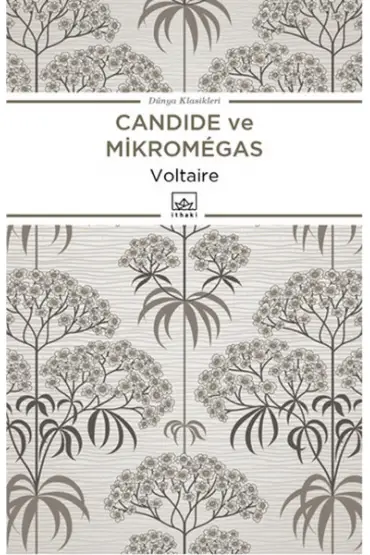  404 Candide ve Mikromegas