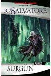  404 Drizzt Efsanesi 2 - Sürgün