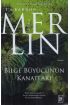  404 Merlin 5. Kitap - Bilge Büyücünün Kanatları