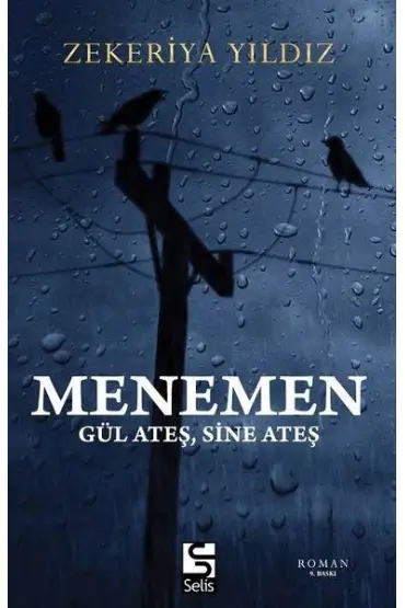  404 Menemen