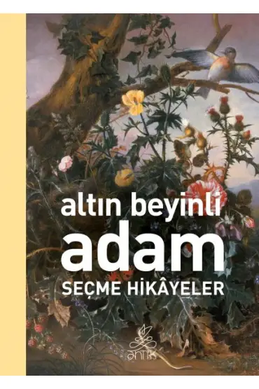  404 Altın Beyinli Adam