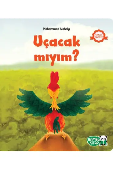  404 Uçacak mıyım?