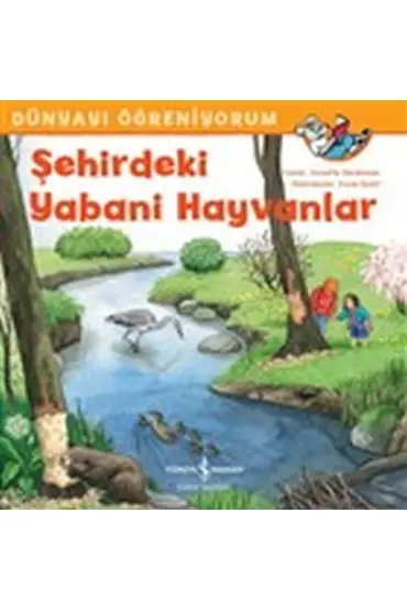  Şehirdeki Yabani Hayvanlar - Dünyayı Öğreniyorum