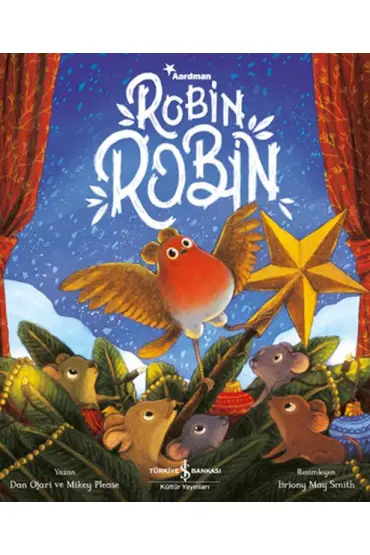  Robin Robin