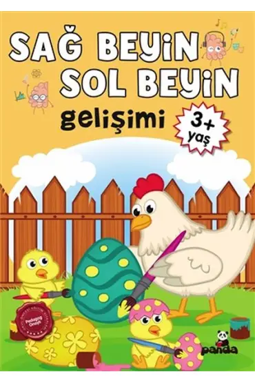  3 Yaş Sağ Beyin-Sol Beyin Gelişimi