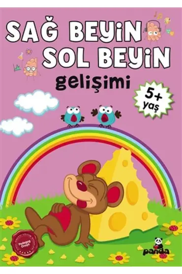  5 Yaş Sağ Beyin-Sol Beyin Gelişimi