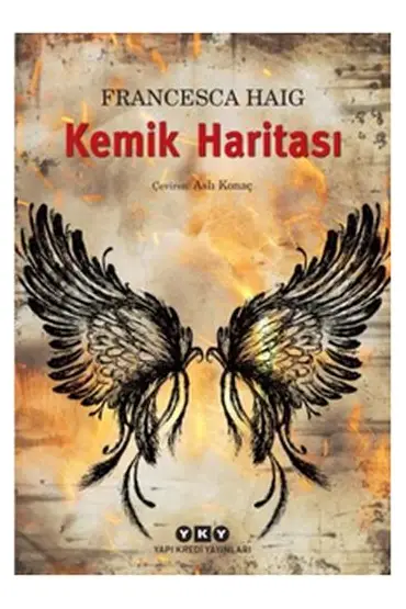  Kemik Haritası