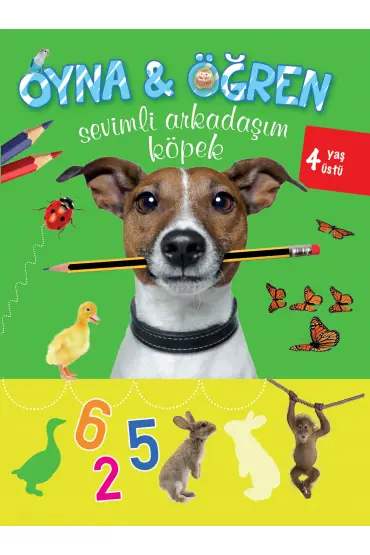  Oyna Öğren Sevimli Arkadaşım Köpek 4 Yaş Üstü