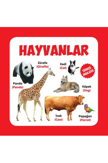  Hayvanlar Türkçe-İngilizce