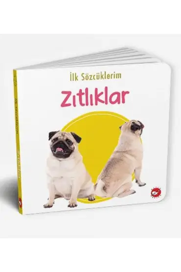  İlk Sözcüklerim - Zıtlıklar