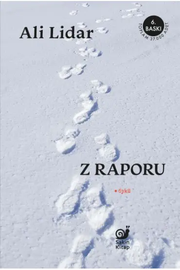  Z Raporu