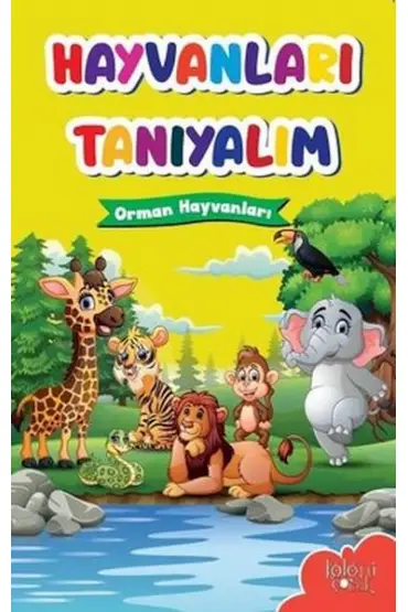  Muhteşem Çizimler ve Kolay Anlatım ile Hayvanları Tanıyalım Orman Hayvanları