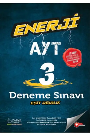  Palme Enerji Ayt Eşit Ağırlık 3 Deneme Sınavı