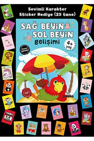  Stickerlı 4+ Yaş Sağ Beyin Sol Beyin Gelişim