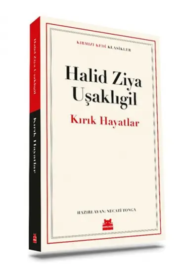  Kırık Hayatlar