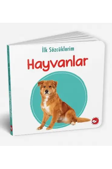  İlk Sözcüklerim - Hayvanlar