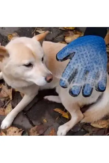  192 Kedi Ve Köpek İçin Tüy Toplama Eldiveni