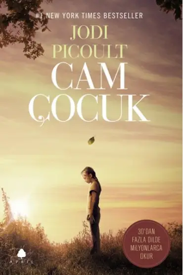  Cam Çocuk