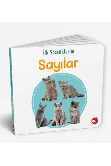  İlk Sözcüklerim - Sayılar