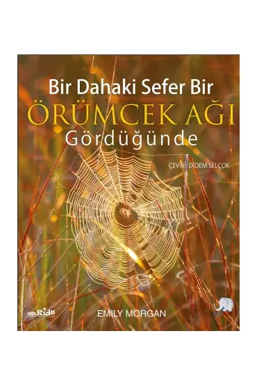 Bir Dahaki Sefer ÖRÜMCEK AĞI GÖRDÜĞÜNDE - Next Time You See a Spiderweb