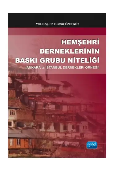 Hemşehri Derneklerinin Baskı Grubu Niteliği (Ankara ve İstanbul Dernekleri Örneği)