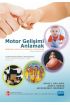 MOTOR GELİŞİMİ ANLAMAK - Bebekler, Çocuklar, Ergenler, Yetişkinler – Understanding Motor Development Infants, Children, 