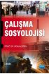 Çalışma Sosyolojisi