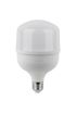 Cvs 6 Adet 20 W Jumbo Torch LED Ampul Beyaz Işık