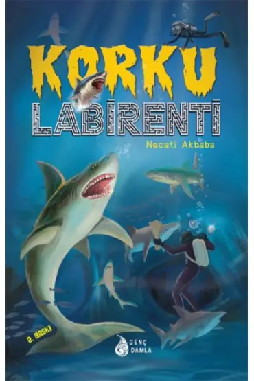 Korku Labirenti