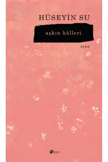 Aşkın Halleri