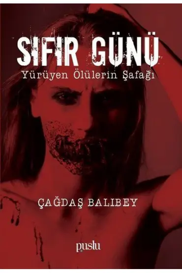 Sıfır Günü