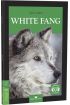 Stage-3 White Fang - İngilizce Hikaye