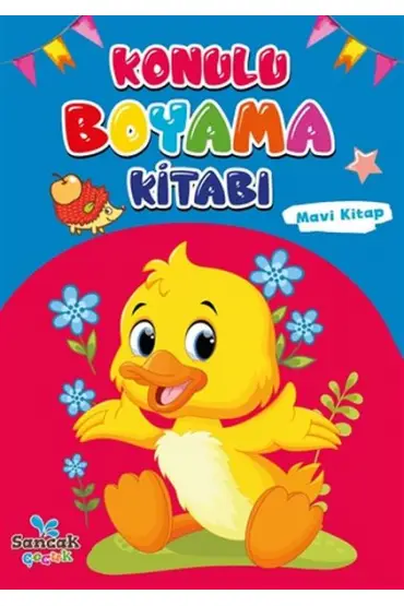 Konulu Boyama Kitabı - Mavi Kitap