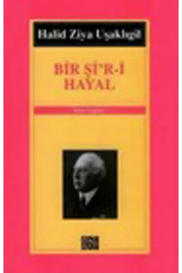 Bir Şi’r-i Hayal