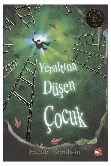 Yeraltına Düşen Çocuk