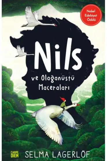 Nils ve Olağanüstü Maceraları