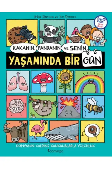 Kakanın, Pandanın ve Senin Yaşamında Bir Gün