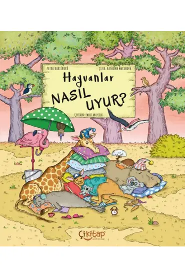 Hayvanlar Nasıl Uyur ?