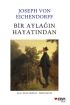 Bir Aylağın Hayatından