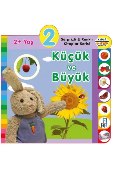 Yaş Küçük ve Büyük (2+Yaş)