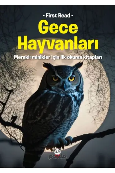 Gece Hayvanları