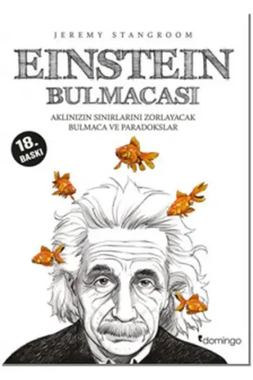 Einstein Bulmacası  Aklınızın Sınırlarını Zorlayacak Bulmaca ve Paradokslar